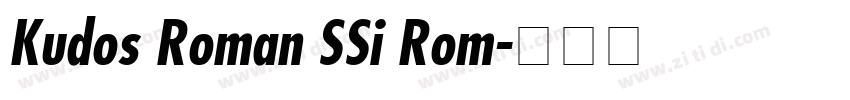 Kudos Roman SSi Rom字体转换 Kudos Roman SSi Rom字体转换